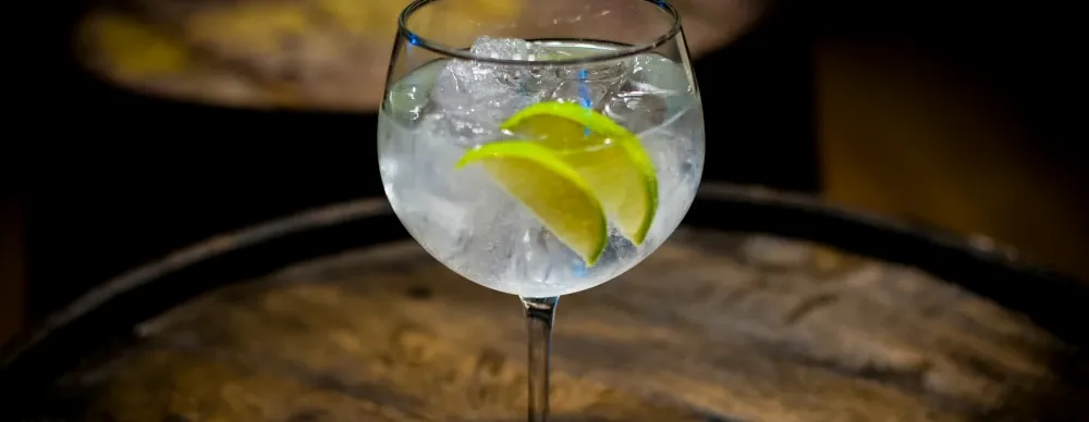 Gin Drinkar - Featured image